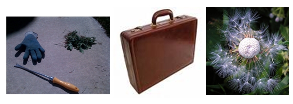 life is like a garden, lean thinking and gardening, root cause analysis, six sigma