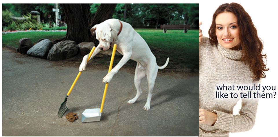 dog-poop-bags dog poop bags