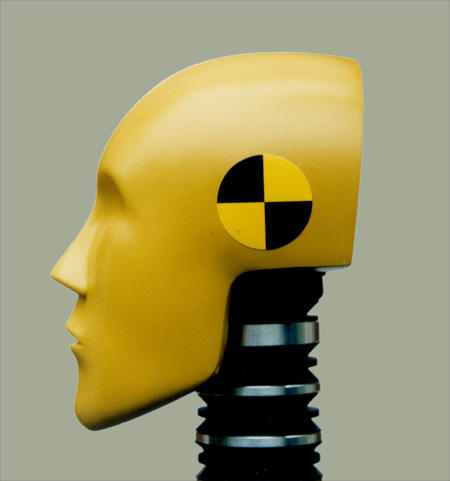 dummy book series, variation