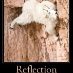 Hansei ” What is Really Important? reflection, hansei, lean six sigma