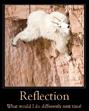 reflection, hansei, lean six sigma