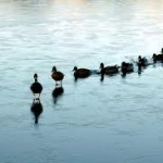 overmanaged-underled-thumb-image-leadership