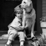 Shipping Email Notification: Customer Delight Examples how to create loyal customers