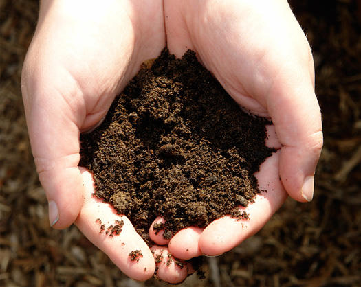 types of soil, types of dirt