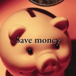 Cost Savings for a Fortune 500 Company how to save money, budget
