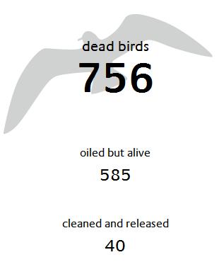 Oil Spill Animals Affected Chart Oil Spill Animals Affected Chart