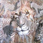 7 Waste Hide in Plain Sight 7 Waste Hide in Plain Sight