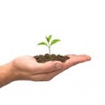 Gemba Kaizen Leadership: They Must Increase, I Must Decrease kaizen growth