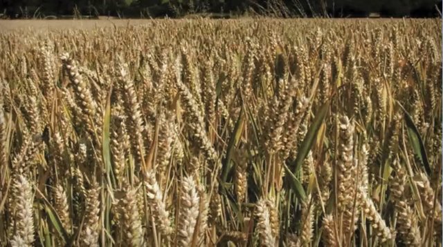 problem statement example in six sigma