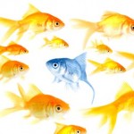 Difference Between Manufacturing and Service difference between service and manufacturing