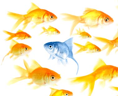 difference between service and manufacturing