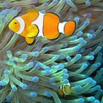 Symbiotic Relationship: The 7 Wastes are Not Equal seven wastes of lean and examples