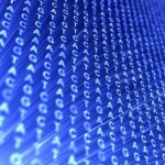 Variety and Variation in Service Industry versus Manufacturing variation, variability, service, manufacturing