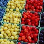 Variety in Services Versus Manufacturing variety-service-manufacturing-image