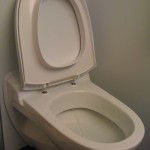 Toilet Seat Down or Up? This Poka Yoke Forces You to Put Toilet Seat Down carnival-cruise-reviews-poka-yoke-1