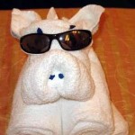 Carnival Cruise Animal Towels - Our Family's Experience and the Kano Model towel animals dog