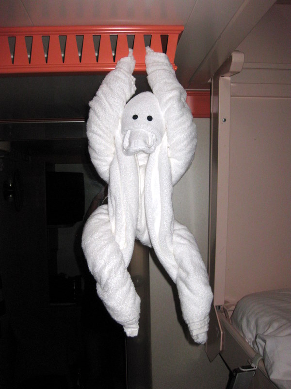 towel animals monkey