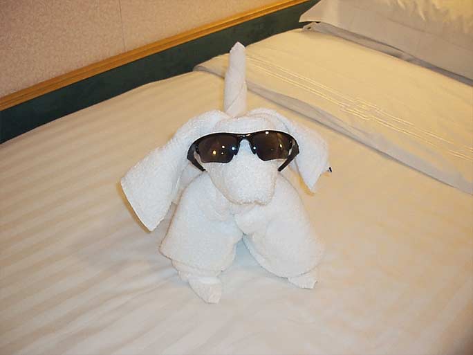 towel animals pitbull