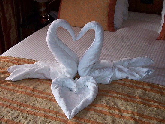 towel animals swan