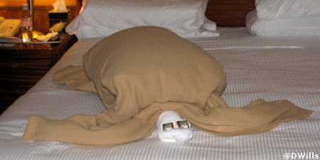 towel animals turtle