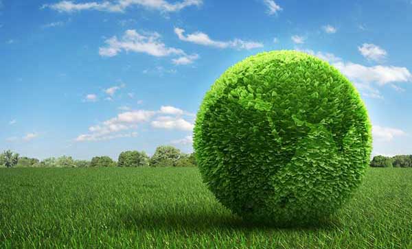 sustainable supply chain