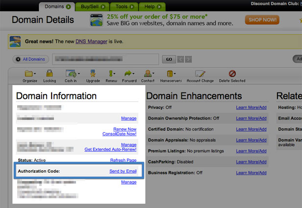 how-godaddy-domain-transfer-5 buy domain from godaddy