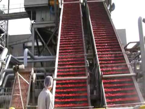 video of heinz factory tour, ketchup consumer packaged goods