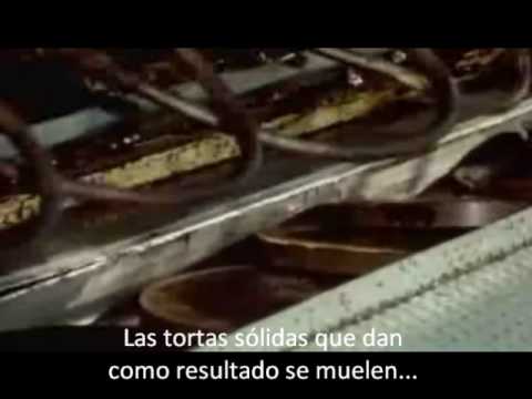 video of hershey chocolate factory tour