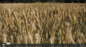 problem statements in six sigma