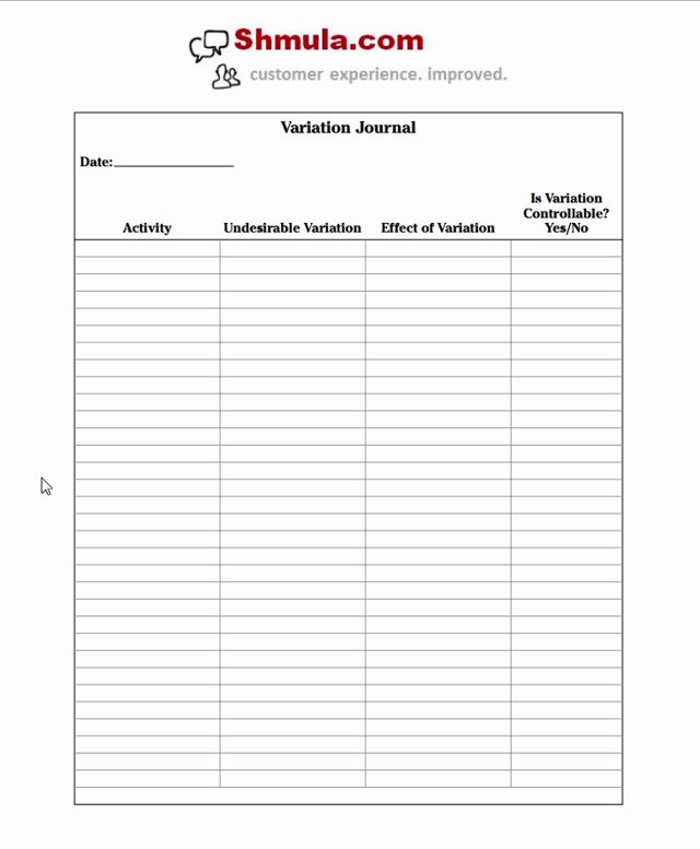 template to record variation in processes