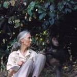 Role of Ethnography and Qualitative Research in Problem Solving ethnography, qualitative research methods