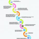 Infographic: A Timeline of the Six Sigma Evolution shmula-six-sigma-history