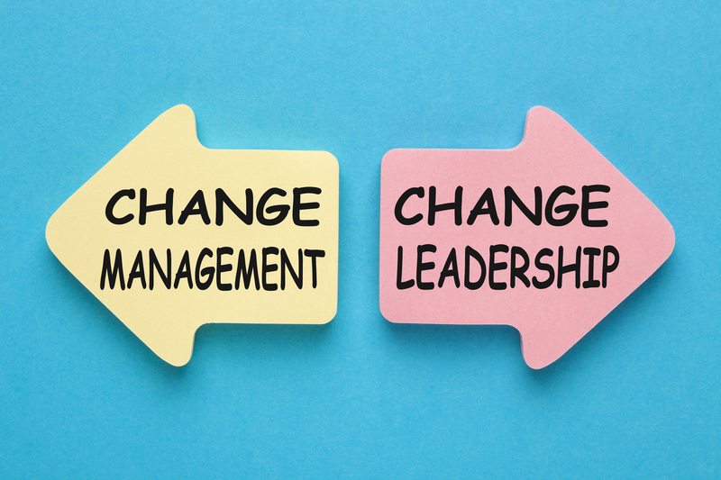 lean, leadership, change management